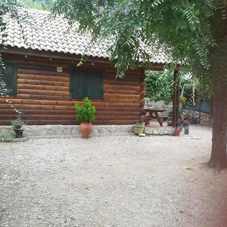 Cabana De Madera La Encina Burunchel エクステリア 写真