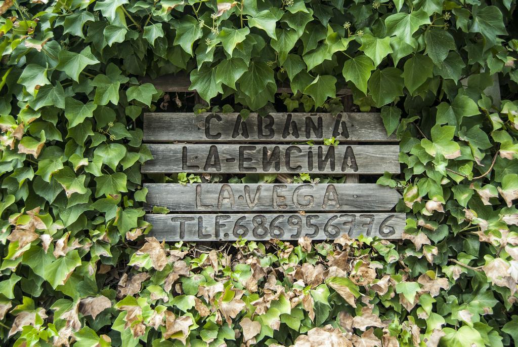 Cabana De Madera La Encina Burunchel エクステリア 写真