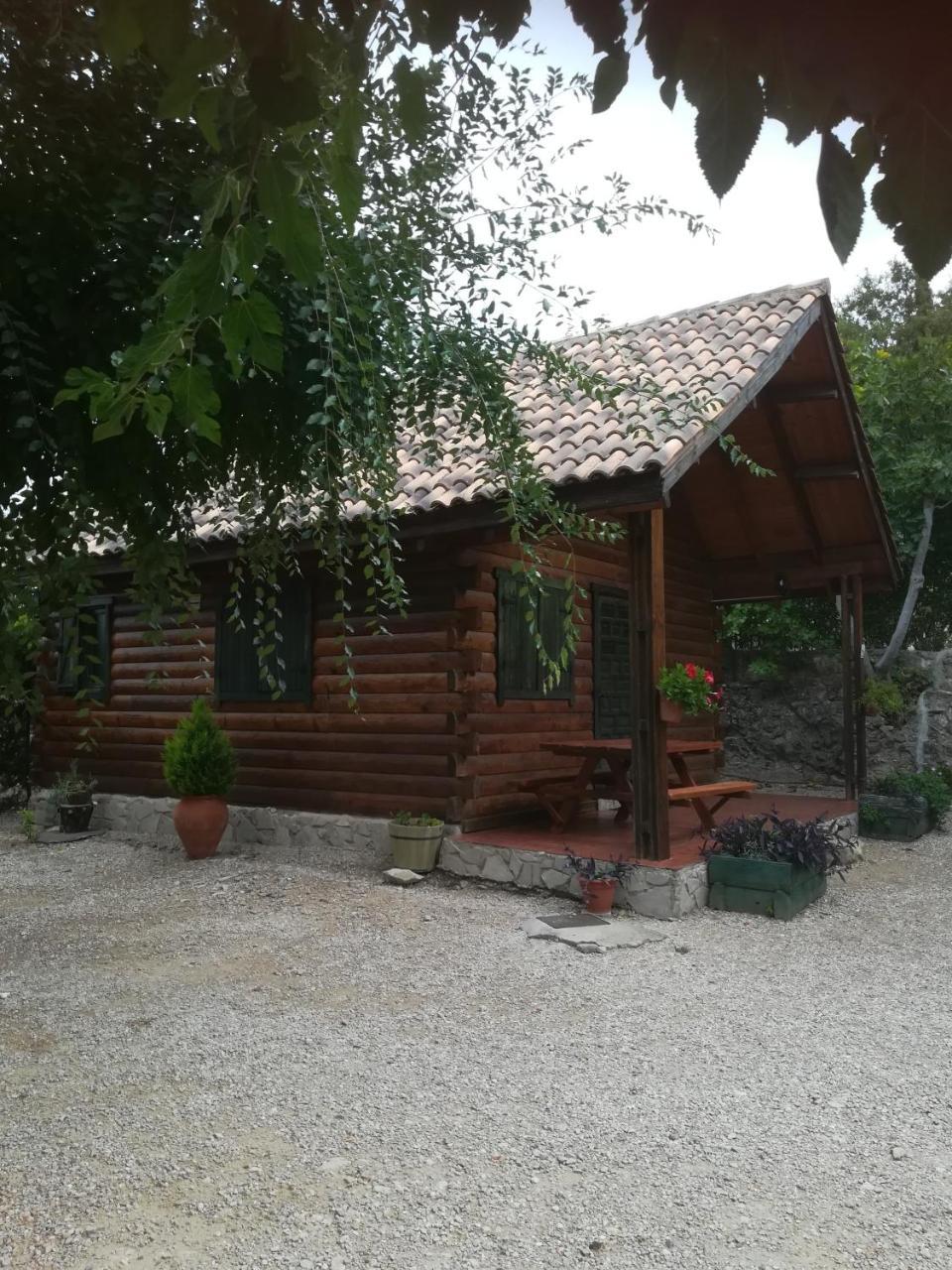 Cabana De Madera La Encina Burunchel エクステリア 写真